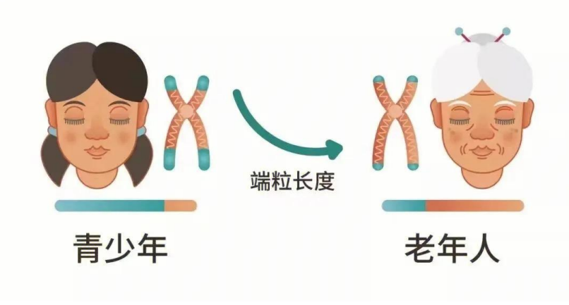 QQ20250414-155548.jpg